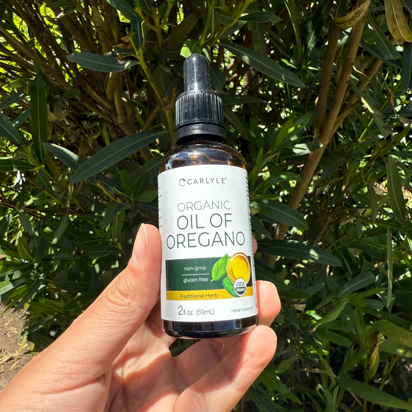 Aceite Organic Oil Of Oregano