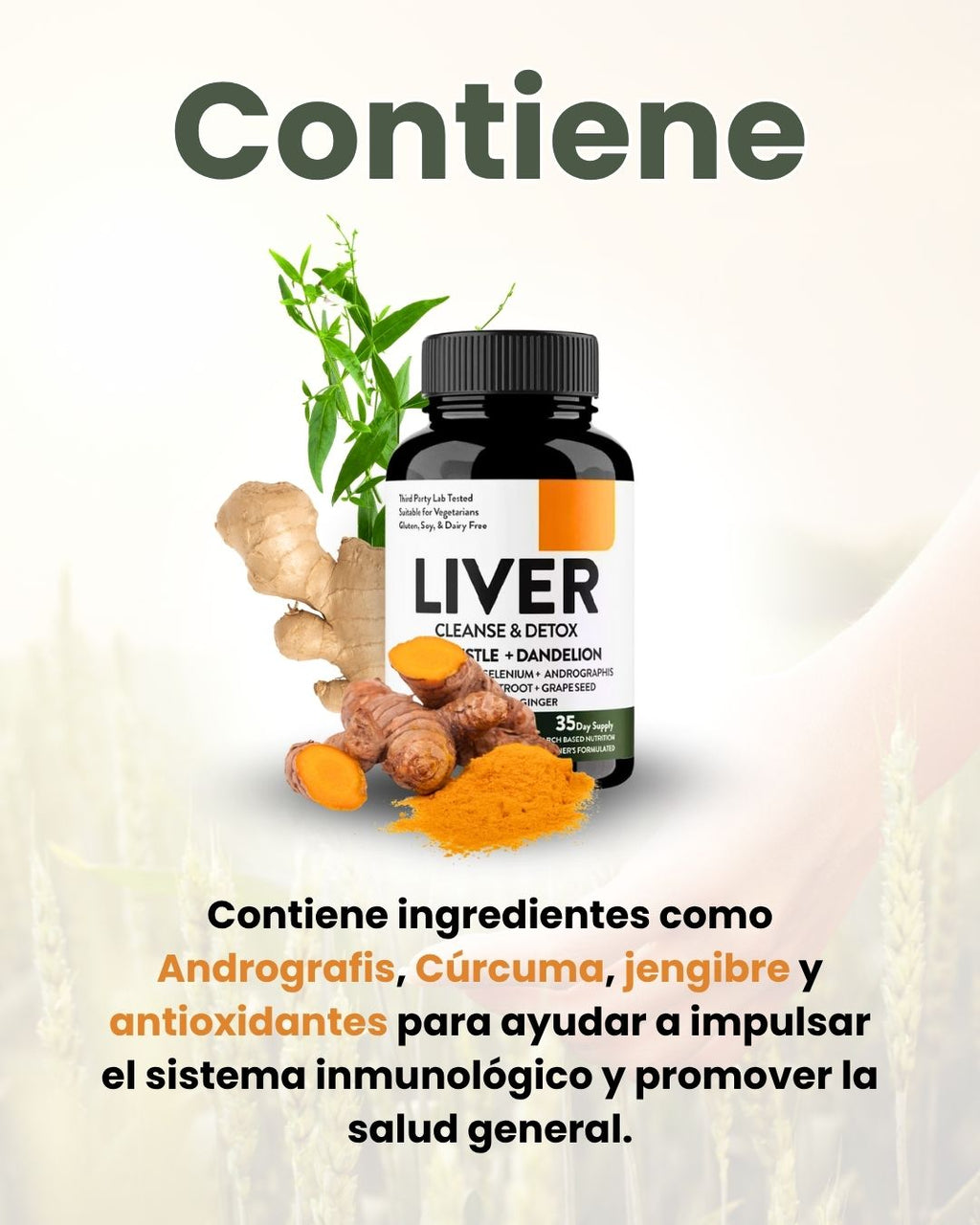Liver Cleanse Y Detox