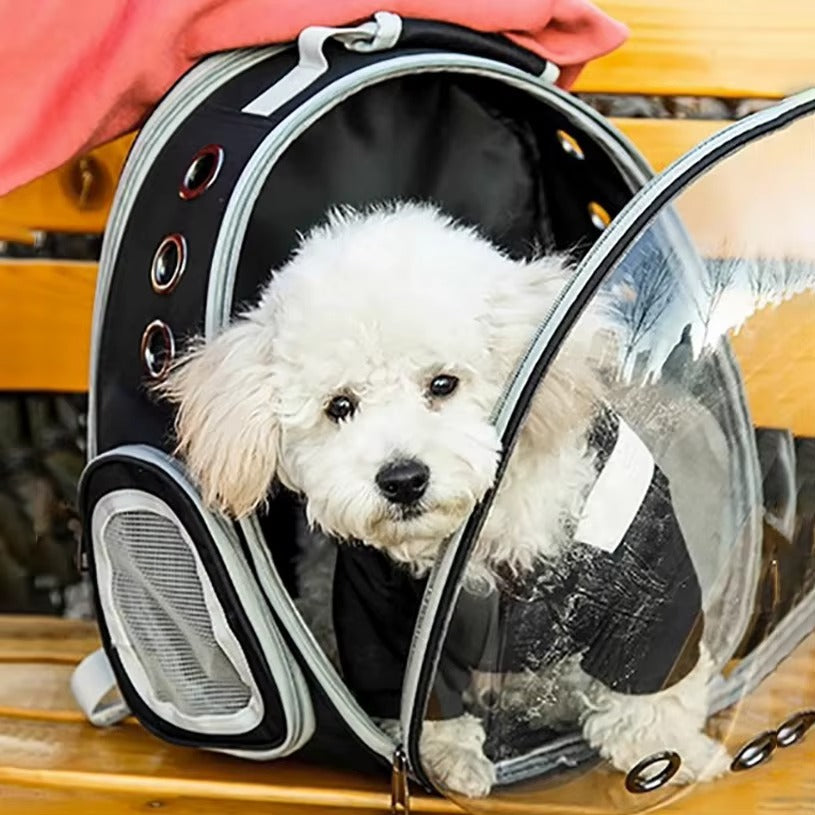 MOCHILA PARA MASCOTA CON CAPSULA